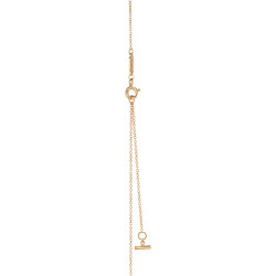 Tiffany T