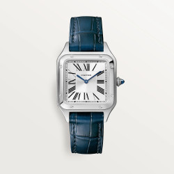 Cartier Santos Bleu