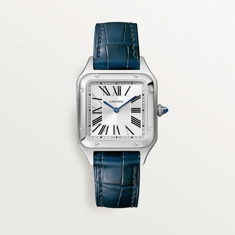 Cartier Santos Bleu