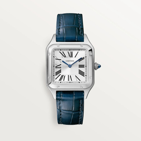 Cartier Santos Bleu